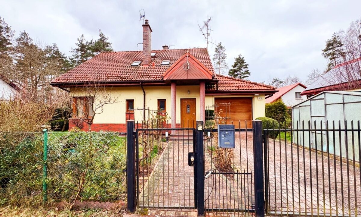 185136_3.jpg