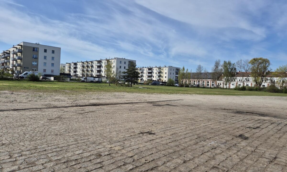 233536_3.jpg