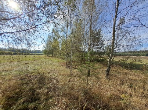 220219_3.jpg