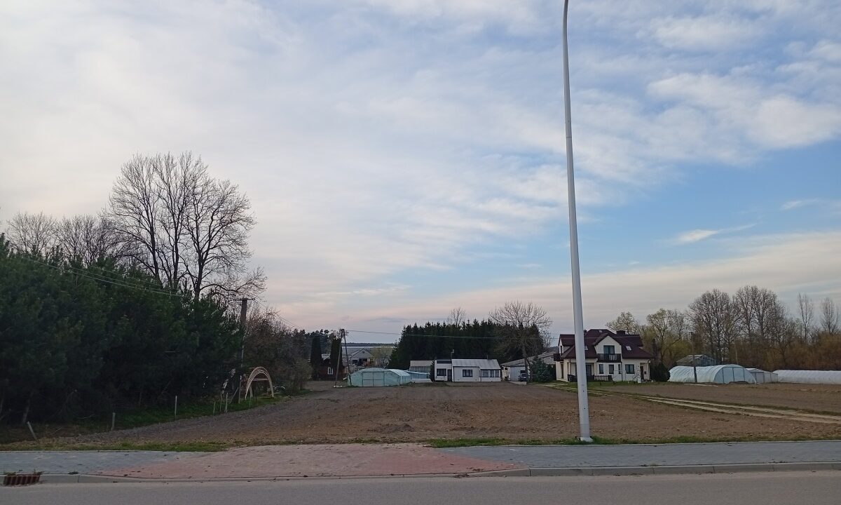 234025_3.jpg