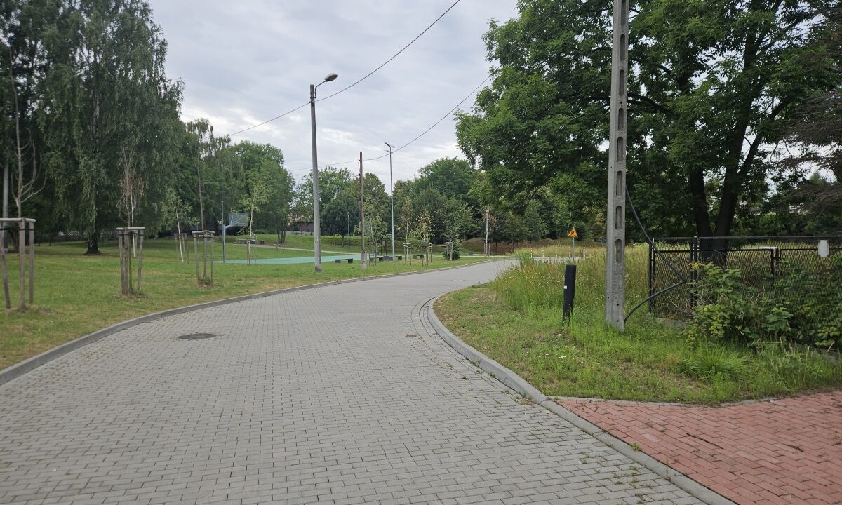 236213_3