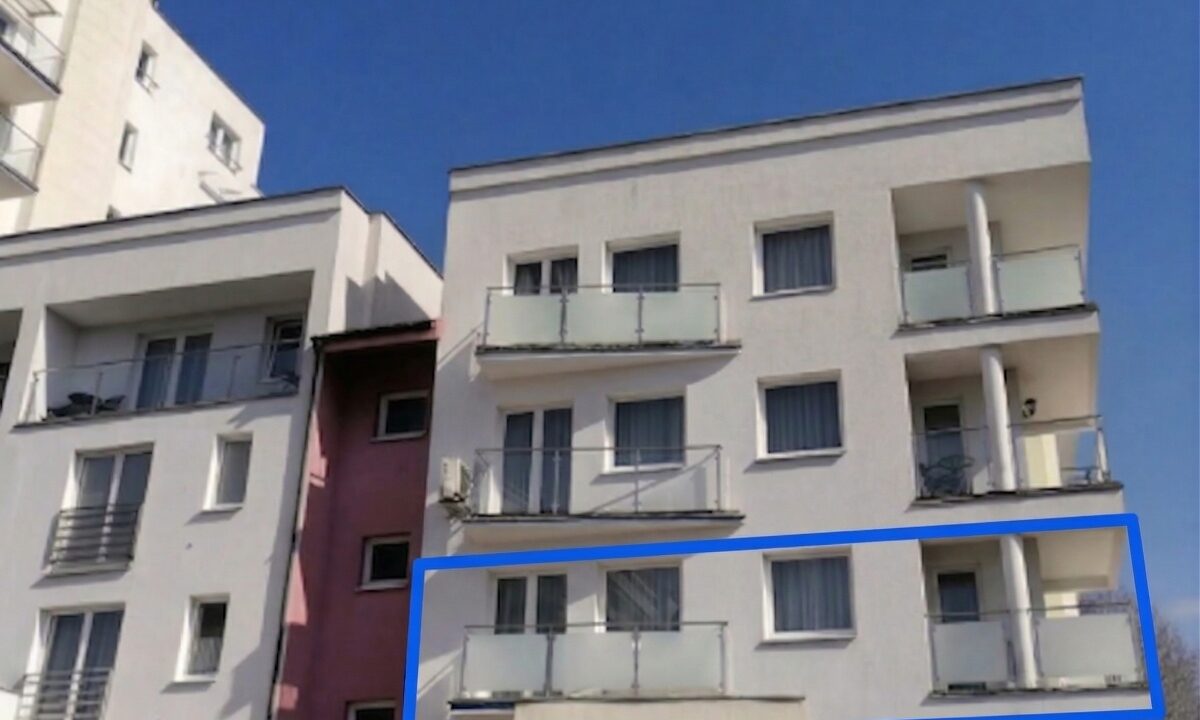 239373_3